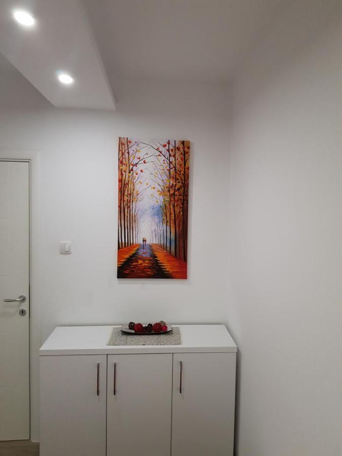 Apartment Gea 18 Novi Sad Eksteriør billede